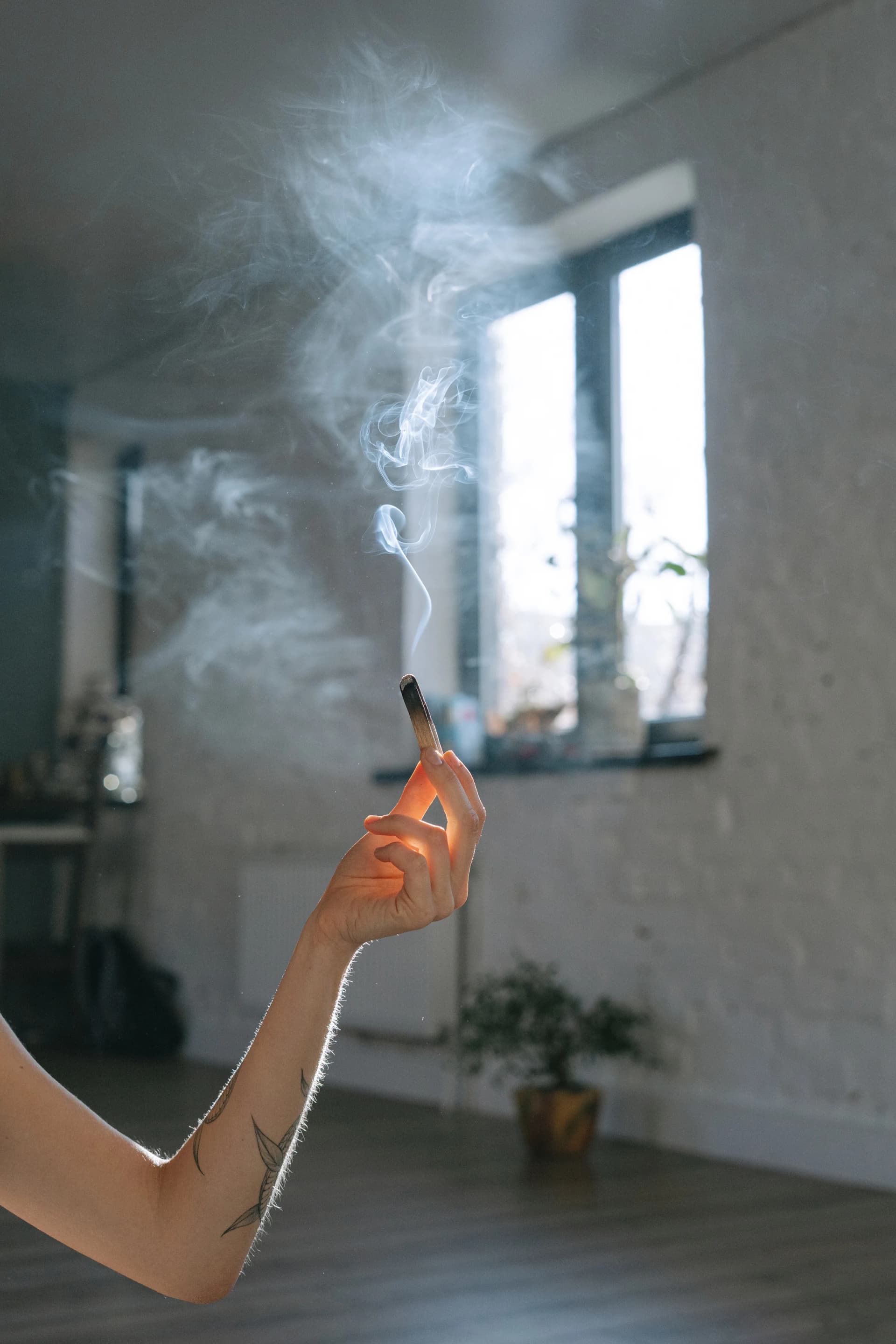astrea ilustrativa humo sahumo